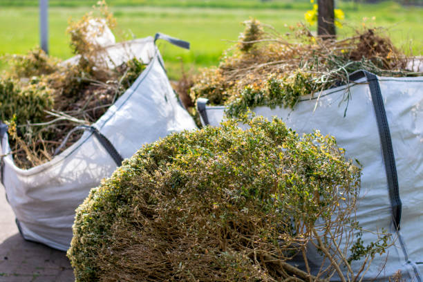 Best Commercial Junk Removal  in Palmyra, WI